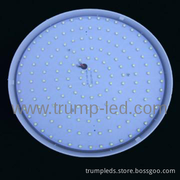 New Style Creative LED Ceiling Light